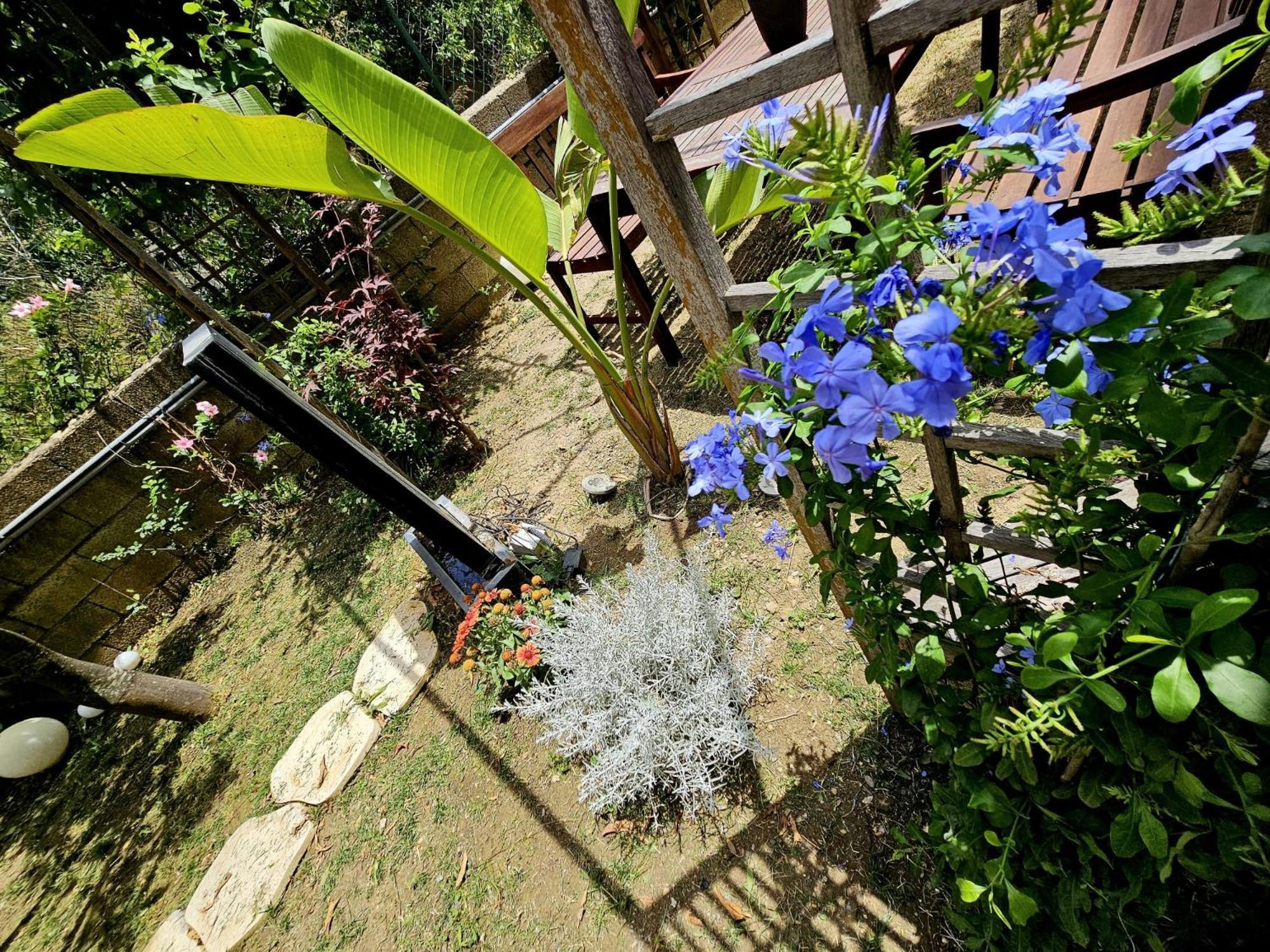 Prestige Casa Vacanze Catanzaro Exterior photo